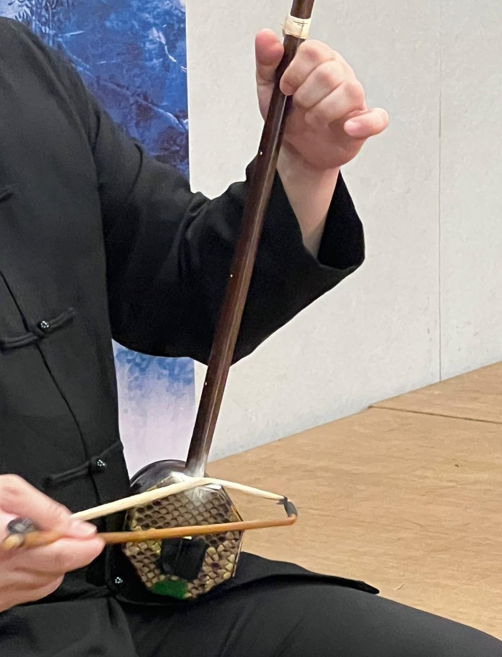 拉弦樂器