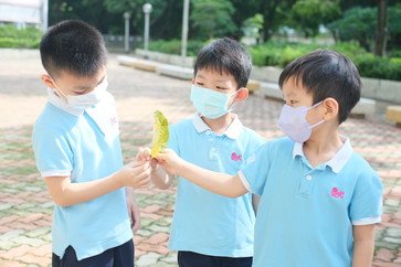 market visit cover