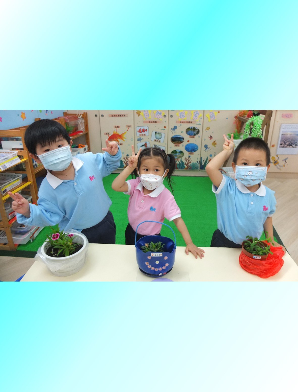 2020.10.14-一人一花