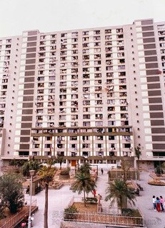 An old image of Kwai Shing East Estate. Po Leung Kuk Kwai Shing Children’s Training Centre was located at the ground floor of Block 13 and 14, occupying a total area of 10899 square meters.