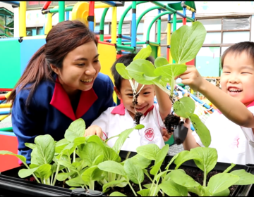 保良局吳多泰幼稚園 — 帶你走入「綠愛廚房」