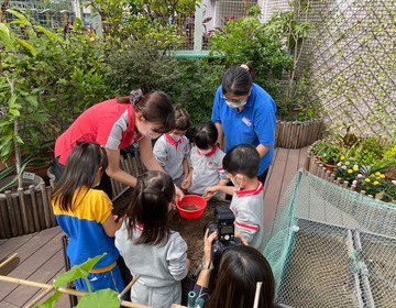 保良局張潘美意幼稚園—綠色校園讓幼兒親親大自然