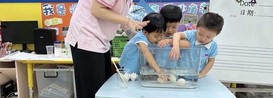 朱李月華幼稚園暨幼兒園 - 相簿 (04-29.08.2025 專題活動)