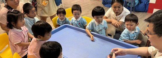 朱李月華幼稚園暨幼兒園 - 相簿 (02.06.2025 N+K1親子參觀金魚探索館)