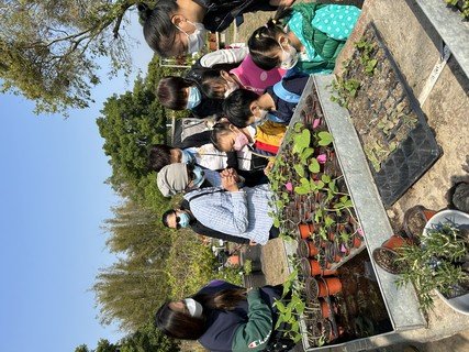 Participants learned the cultivation of crops so as to learn choosing healthy food in their daily lives.