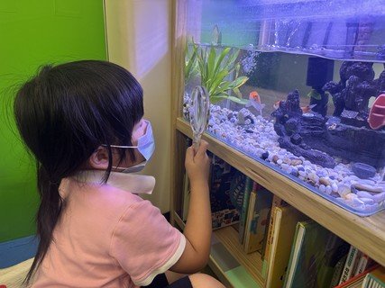 A組專題研習_魚