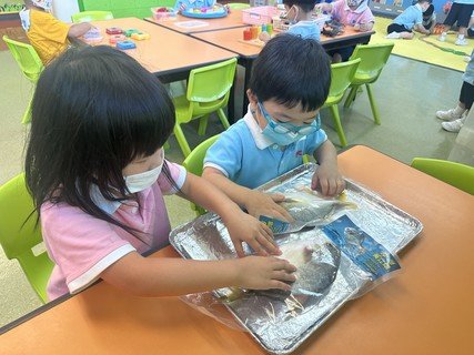 A組專題研習_魚