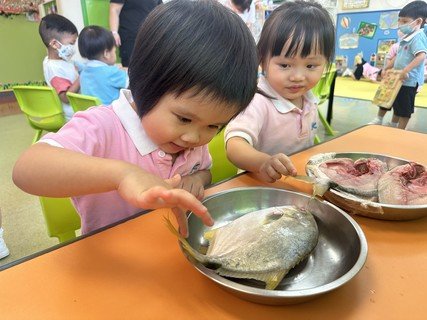 A組專題研習_魚