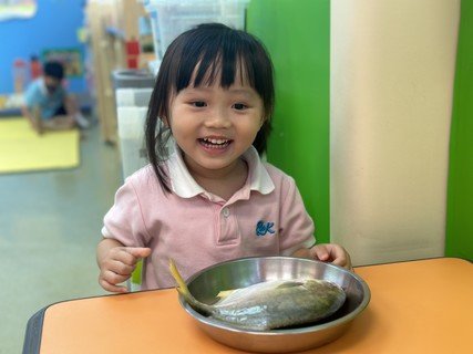 A組專題研習_魚