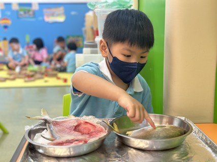A組專題研習_魚