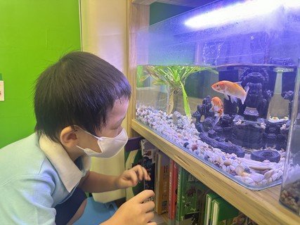 A組專題研習_魚