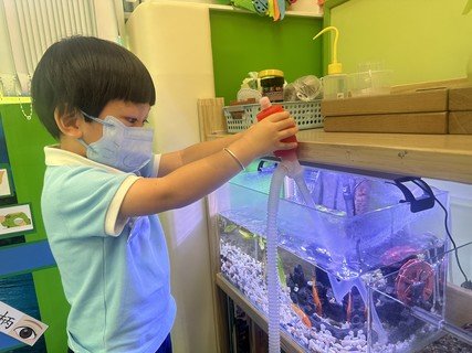 A組專題研習_魚