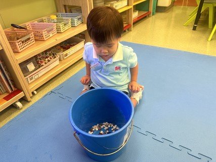 A組專題研習_魚