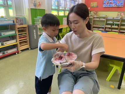 A組專題研習_魚