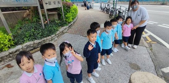 我們留心觀察馬路上有不同的車子。