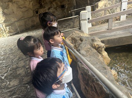 遊覽鳳德公園、參觀救護站及體驗「飲茶」活動