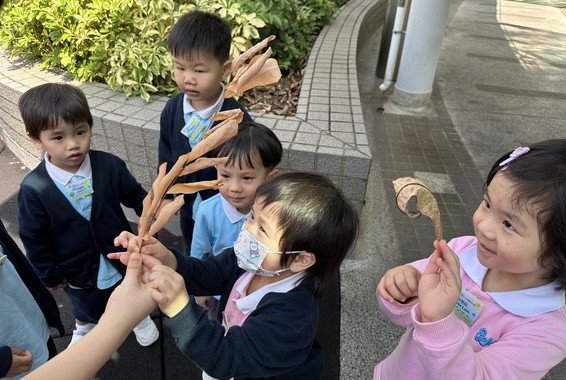 葉子變成了啡色。