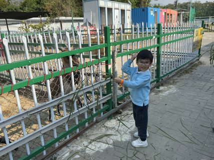 2025.1.16 亲子旅行