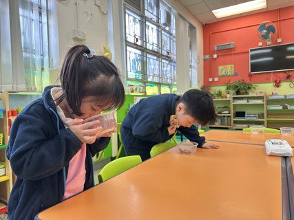 2025.2.28 C组专题研习_凉果