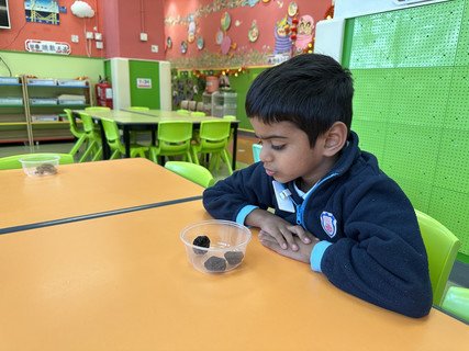 2025.2.28 C组专题研习_凉果