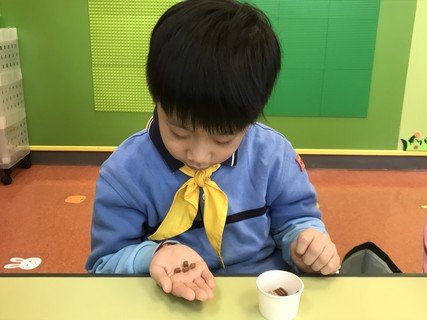 2025.2.28 C组专题研习_凉果