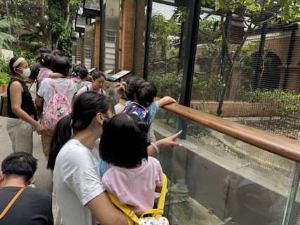 2025.5.27 参观香港动植物公园