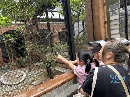 2025.5.27 参观香港动植物公园