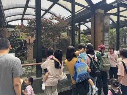 2025.5.27 参观香港动植物公园