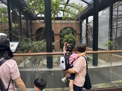 2025.5.27 参观香港动植物公园