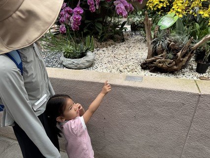 2025.5.27 参观香港动植物公园