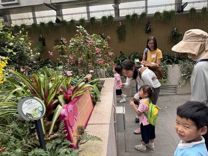 2025.5.27 参观香港动植物公园