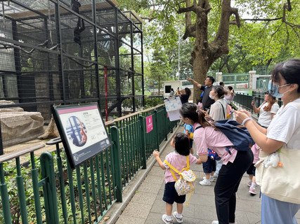 2025.5.27 参观香港动植物公园