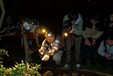 計劃為大專生學員提供結合生態考察及創意教育的觀察員培訓課程，轉化青年對鮮為人認知或喜愛物種的印象。