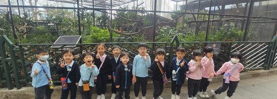 2026.02.26 K2参观香港动植物公园