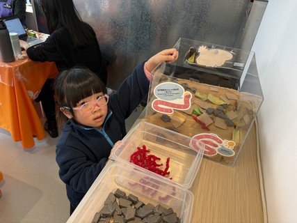 2026.1.2 香港儿童探索博物馆
