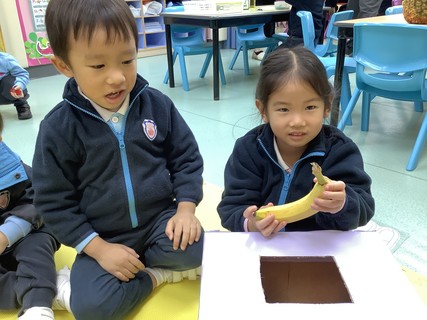 2026.2.12 Group A Project study_Fruit