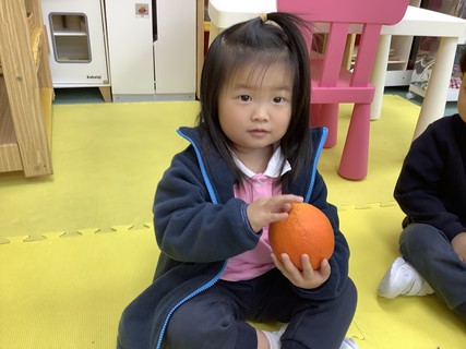 2026.2.12 Group A Project study_Fruit