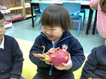 2026.2.12 Group A Project study_Fruit