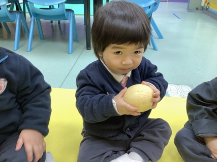 2026.2.12 Group A Project study_Fruit