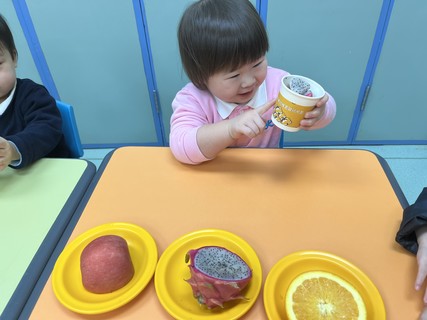 2026.2.12 Group A Project study_Fruit