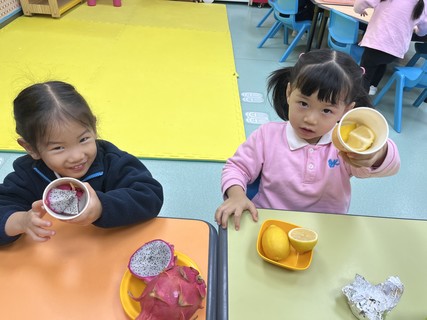 2026.2.12 Group A Project study_Fruit