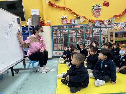 2026.2.12 Group A Project study_Fruit