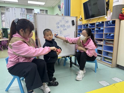 2026.2.12 Group A Project study_Fruit