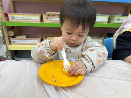 2026.2.12 Group A Project study_Fruit