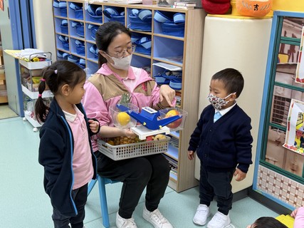 2026.2.12 Group A Project study_Fruit