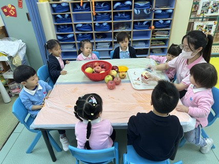 2026.2.12 Group A Project study_Fruit