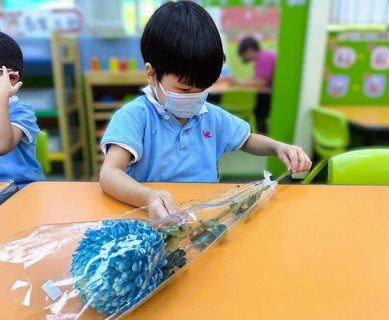 2026.8.26 8月B組專題-花