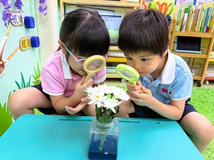 2026.8.26 8月B組專題-花