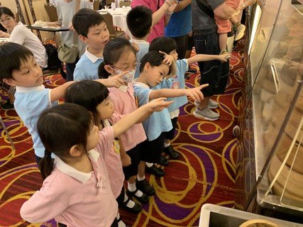 2026.8.26 8月C組專題-飲茶2026.8.26 8月C組專題-飲茶